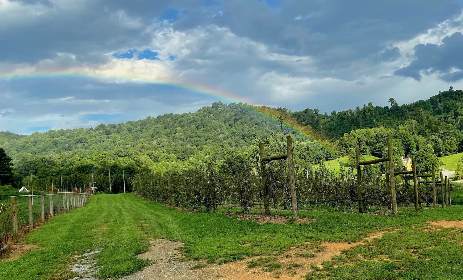 24-KellyFarmRainbow
